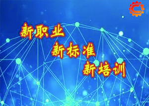 河南省职业技能竞赛管理办法（试行）